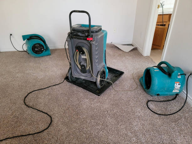 Best Emergency water damage restoration  in Holstein, IA