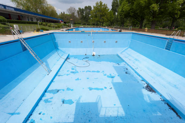 Best Mold removal after water damage  in Holstein, IA