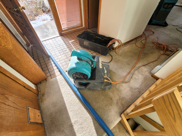 Best 24/7 water damage repair  in Holstein, IA