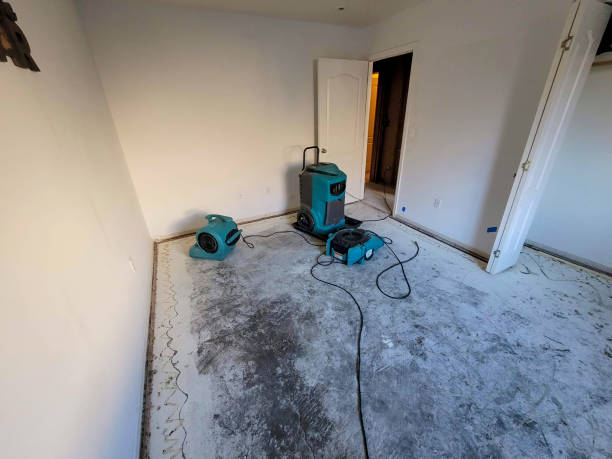 Best Commercial water damage restoration  in Holstein, IA
