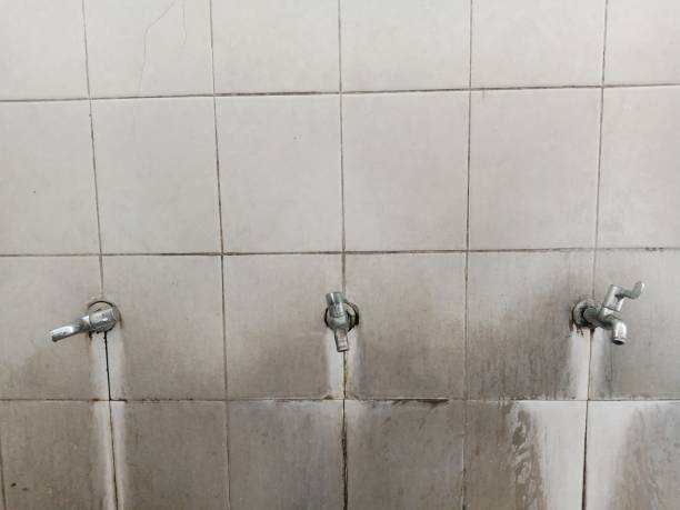 Best Local water damage restoration  in Holstein, IA