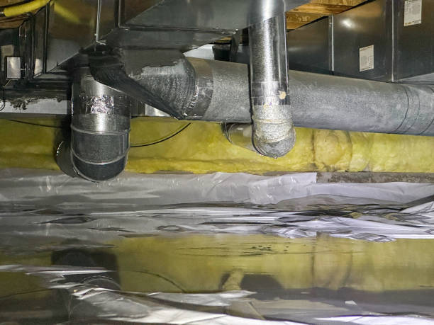 Best Basement water damage restoration  in Holstein, IA