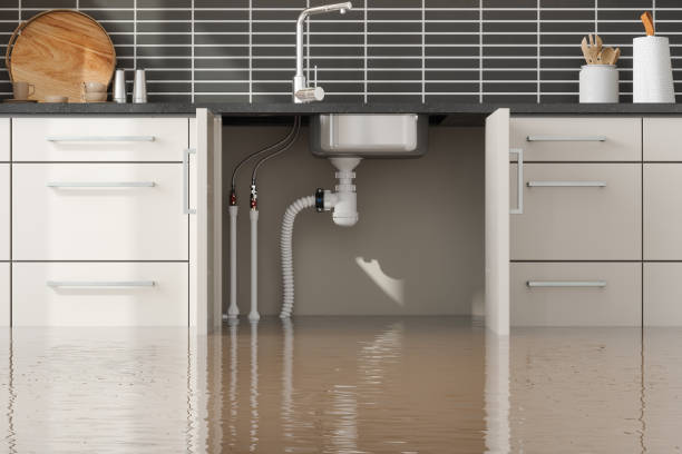 Best Water damage cleanup near me  in Holstein, IA