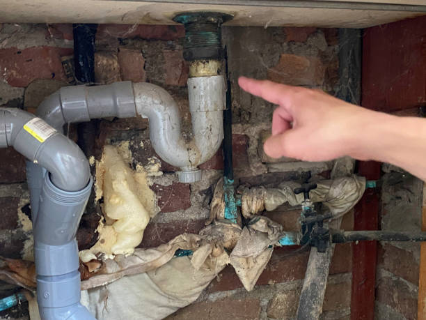 Best Carpet water damage restoration  in Holstein, IA