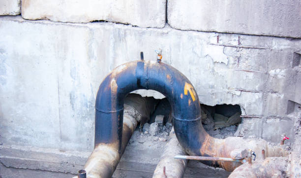 Best Water damage restoration insurance claims  in Holstein, IA