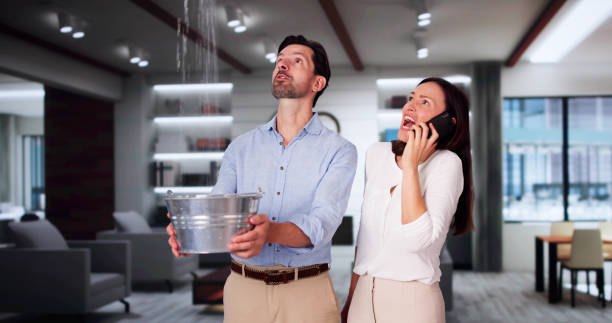 Best Professional water damage repair  in Holstein, IA