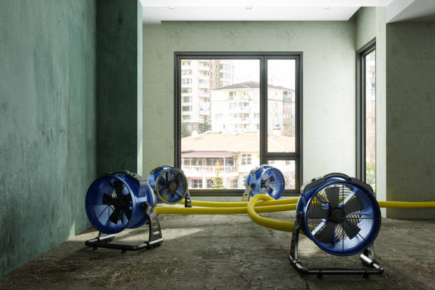 Best Ceiling water damage repair  in Holstein, IA