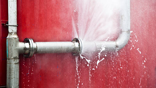 Best Water damage restoration services  in Holstein, IA